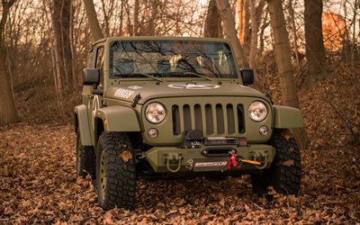 Geigercars, tuning, 2018 cars, Jeep Wrangler Geiger-Willys, SUVs, offroad, Jeep Wrangler, Jeep