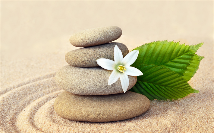 polished stones, sand, spa, white flower, circles on the sand
