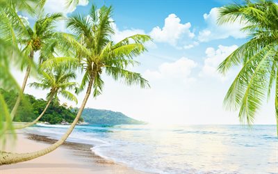 ocean, tropical island, palms, sea, waves, coast, summer holidays