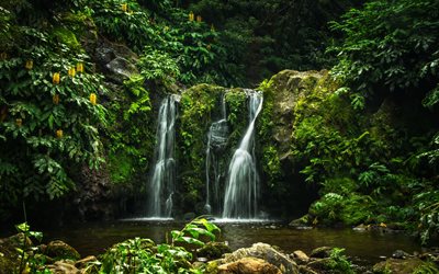 rock, waterfall, forest, lake, Portugal, Parque Natural da Ribeira dos Caldeiroes
