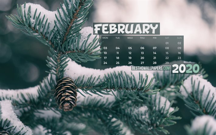 4k, februar 2020 kalender, verschneite tannen-baum, winter, 2020 kalender, februar 2020, kreativ, februar 2020 kalender mit tanne, kalender februar 2020, schnee, hintergrund, kalender bis 2020