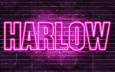 Harlow, 4k, wallpapers with names, female names, Harlow name, purple neon lights, horizontal text, picture with Harlow name