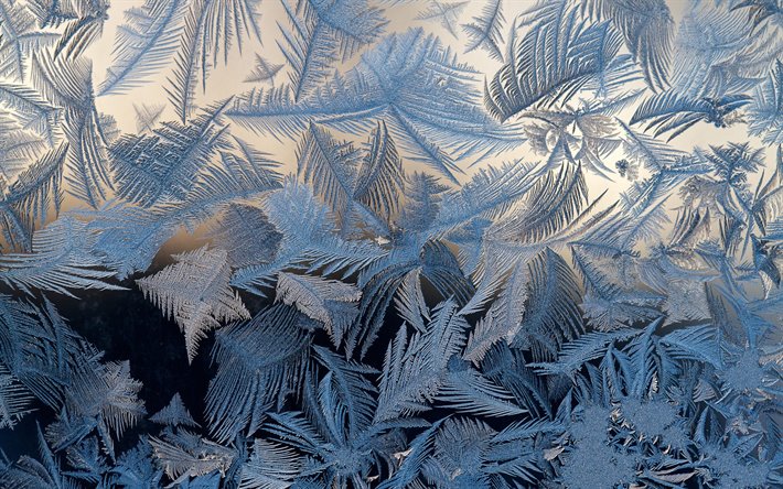Download wallpapers blue ice pattern, macro, frosty patterns on glass ...