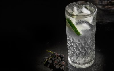 4k, Gin and Tonic Cocktail, darkness, macro, cocktails, glass with drink, Gin and Tonic, Glass with Gin and Tonic