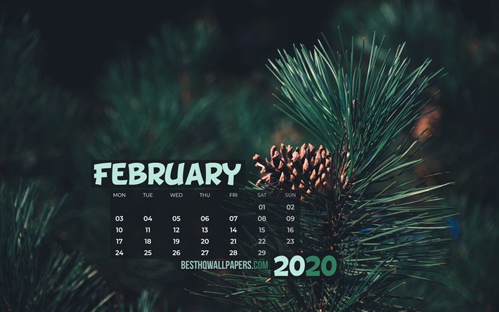 februar 2020 kalender, gr&#252;ne tanne, 4k, 2020 kalender, februar 2020, kreativ, februar 2020 kalender mit tanne, kalender februar 2020, gr&#252;n, hintergrund, kalender bis 2020
