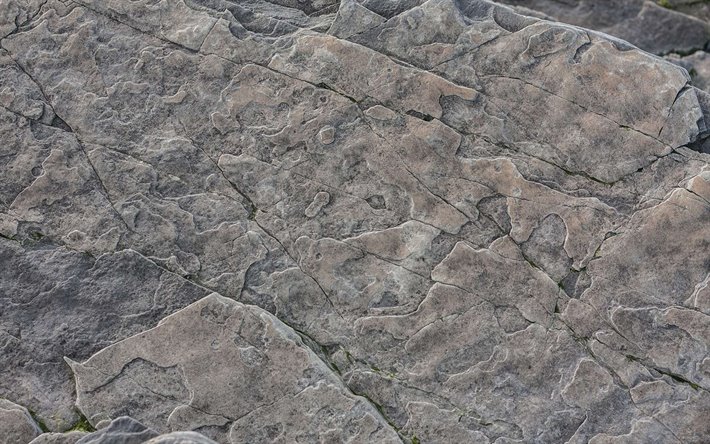 グレーの石質感, 天然の岩肌, 灰色の岩石, マクロ, グレーの石, 石背景, 石像, グレー背景
