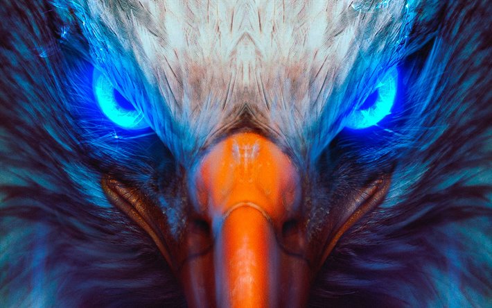 4k, les yeux d&#39;aigle, d&#39;art, de l&#39;aigle regarde, les yeux bleus, cr&#233;atif, de l&#39;aigle