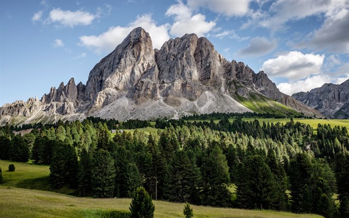 Dolomiti, Alpi, primavera, paesaggio di montagna, rocce, Italia, foresta, alberi verdi, salvare il pianeta