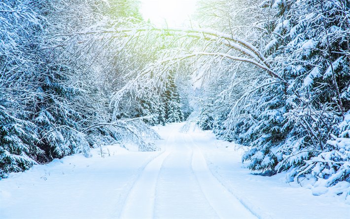winter landscape, forest, road, snow, forest road, trees, white snow