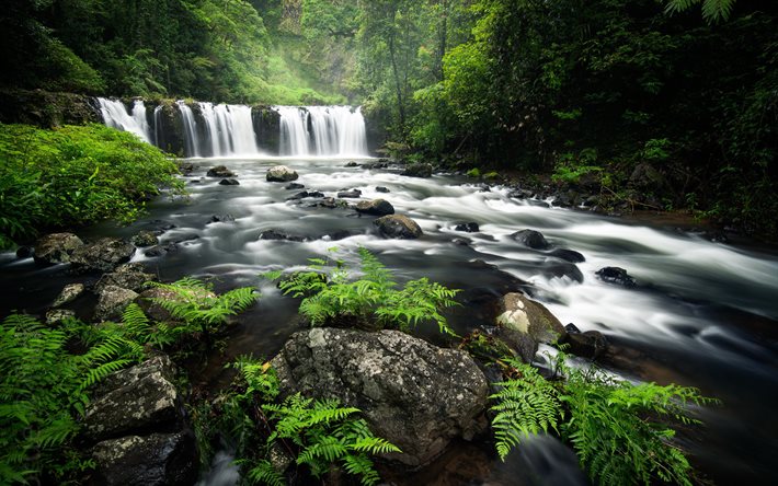 vattenfall, skog, gr&#246;na tr&#228;d, flod, kaskad, vattenkoncept, vackert vattenfall