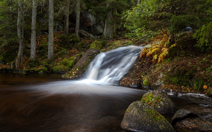 waterfall, forest, lake, autumn, autumn forest, Habo, Ravafallet, Sweden