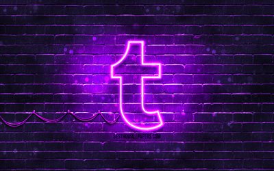 tumblr violett logo, 4k, violette ziegelwand, tumblr logo, soziale netzwerke, tumblr neon-logo, tumblr