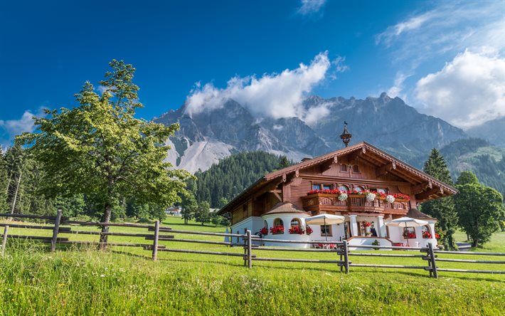 Alpler, dağ manzarası, Styria, kayalar, orman, dağlar, Ramsau am Dachstein, Avusturya