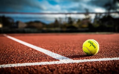 tennis court, tennis, yellow tennis ball, court with a hard surface