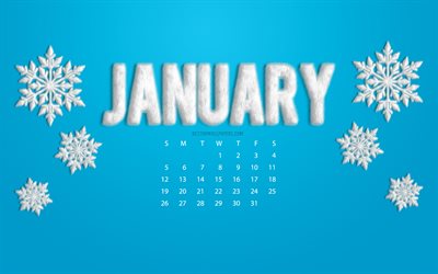 2020 January Calendar, white fluffy snowflakes, 2020 calendar, 2020 concepts, January 2020 Calendar, monthly calendar
