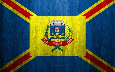 Flagga Muriae, 4k, sten bakgrund, Brasiliansk stad, grunge flagga, Muriae, Brasilien, Muriae flagga, grunge konst, sten struktur, flaggor av brasilianska st&#228;der