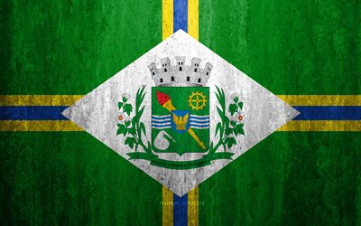 Bandiera di Paulinia, 4k, pietra, sfondo, citt&#224; Brasiliana, grunge, bandiera, Paulinia, Brasile, Paulinia bandiera, arte, texture, le bandiere delle citt&#224; brasiliane