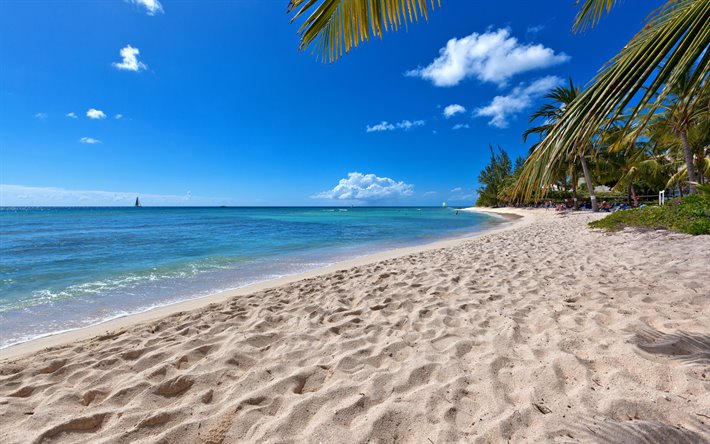 ilha tropical, praia, ver&#227;o, oceano, lagoa azul, areia, veleiro no mar