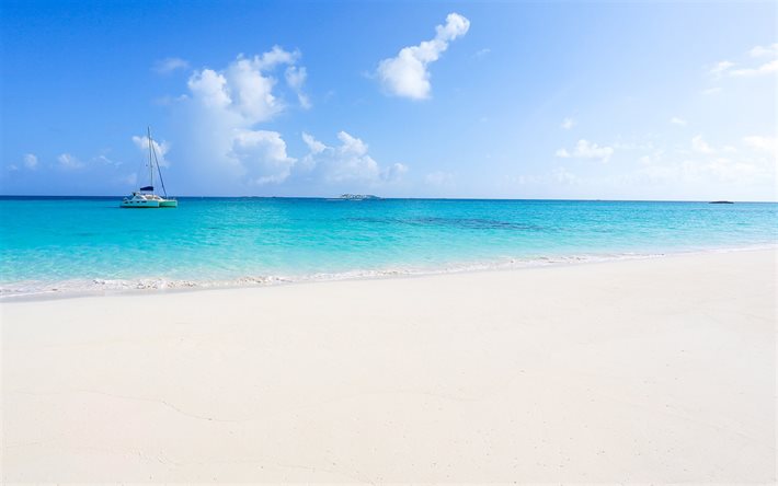 Bahamas, &#238;les tropicales, plage, palmiers, &#233;t&#233;, oc&#233;an, voilier