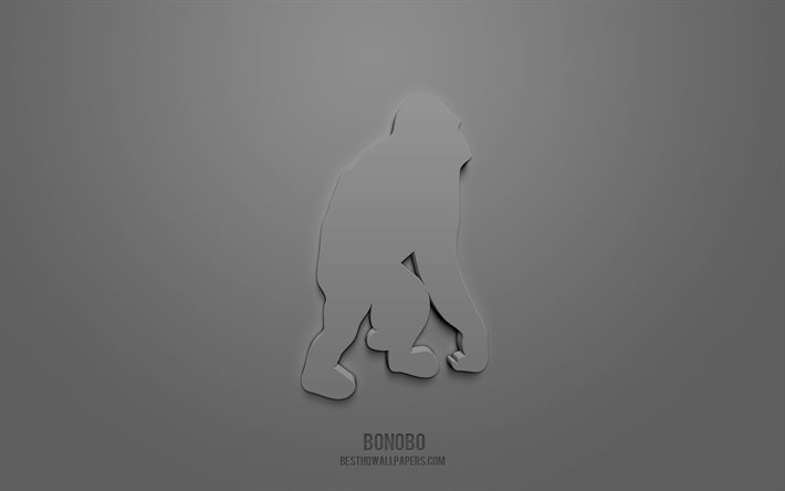 Bonobo 3d ikon, gr&#229; bakgrund, 3d symboler, Bonobo, kreativ 3d konst, 3d ikoner, Bonobo tecken, djur 3d ikoner