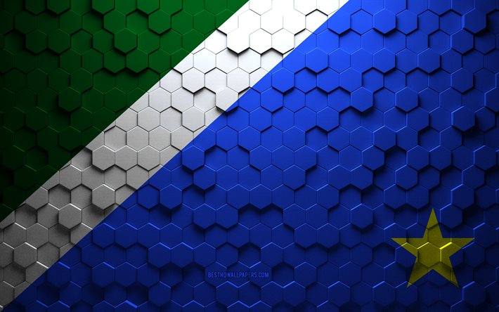 Drapeau du Mato Grosso do Sul, art en nid d&#39;abeille, drapeau des hexagones du Mato Grosso do Sul, Mato Grosso do Sul, art des hexagones 3d, drapeau du Mato Grosso do Sul
