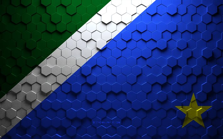 flagge von mato grosso do sul, wabenkunst, mato grosso do sul hexagons flag, mato grosso do sul, 3d hexagons art, mato grosso do sul flag