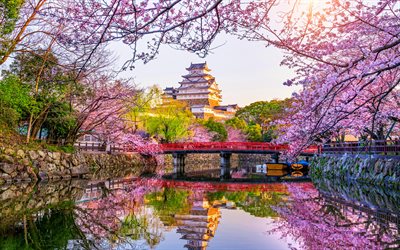 Japan, spring, sunny weather, sakura, japanese temple, Asia, sunset, HDR