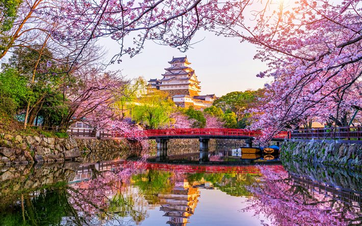 Giappone, primavera, tempo soleggiato, sakura, tempio giapponese, Asia, tramonto, HDR