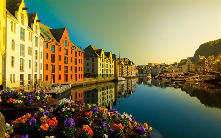 Aalesund, river, canal, petunia, Norway, More og Romsdal