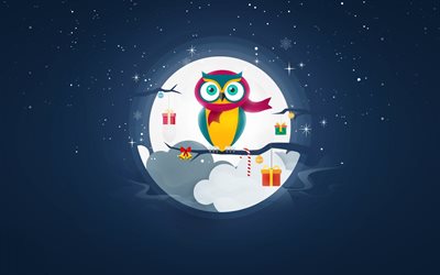owl, Christmas, gifts, moon, minimal, birds