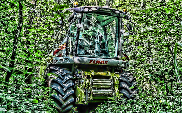 CLAAS Lexion 750, HDR, combine in forest, abandoned combine, CLAAS, combine-harvester, Lexion 750, agricultural machinery