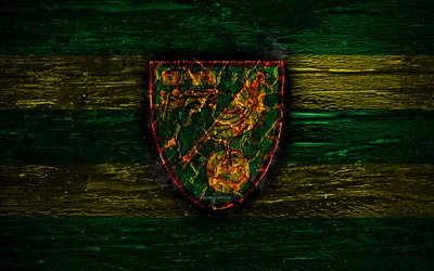 Norwich City FC, fire logo, Championship, green and yellow lines, english football club, grunge, football, soccer, Barnsley logo, wooden texture, England