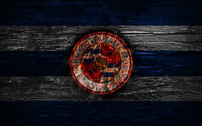 Reading FC, fire logo, Championship, blue and white lines, english football club, grunge, football, soccer, Reading logo, wooden texture, England