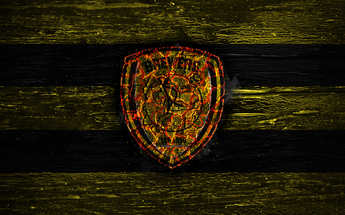 Burton Albion FC, fire logo, Championship, yellow and black lines, english football club, grunge, football, soccer, Burton Albion logo, wooden texture, England