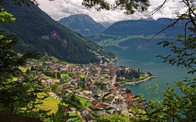 Gersau, montanha, ver&#227;o, O Lago De Lucerna, natureza incr&#237;vel, Su&#237;&#231;a