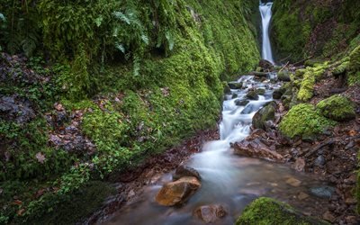 Dollar Glen, mountain river, waterfall, forest, Scotland