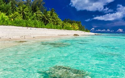 Tropical island, beach, ocean, cote d&#39;azur, Maldives, blue lagoon, palm trees, summer travels