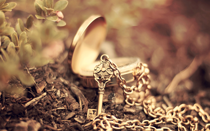 pingente de ouro, romance, chave de ouro, terra, grama, chave para o cora&#231;&#227;o