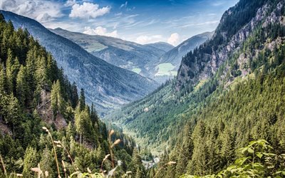 mountain valley, spring, forest, mountain landscape, Alps