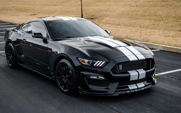 Ford Mustang, Shelby GT350, 2018, black sports car, supercar, luxury sports coupe, tuning mustang, American cars, Ford