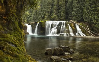 forest, waterfall, mountain river, mountains, high green trees, coniferous trees