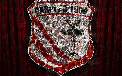 Carpi FC 1909, arrasada logotipo, Serie B, madeira vermelho de fundo, italiano de futebol do clube, Carpi FC, grunge, futebol, Carpi logotipo, fogo textura, It&#225;lia