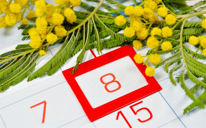8 de mar&#231;o, mimosa, calend&#225;rio, Dia Internacional da Mulher, flores da primavera, cart&#227;o de sauda&#231;&#227;o de 8 de mar&#231;o