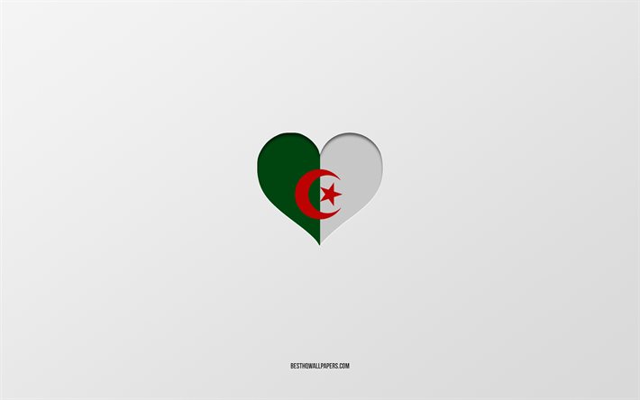 Amo l&#39;Algeria, i paesi dell&#39;Africa, l&#39;Algeria, lo sfondo grigio, il cuore della bandiera dell&#39;Algeria, il paese preferito