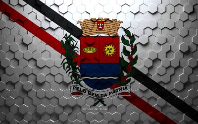 Flag of Araras, honeycomb art, Araras hexagons flag, Araras, 3d hexagons art, Araras flag