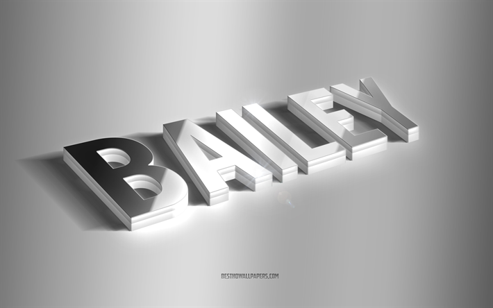 Bailey, art 3D argent&#233;, fond gris, fonds d’&#233;cran avec noms, nom Bailey, carte de vœux Bailey, art 3D, image avec nom Bailey