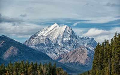 dağ manzara, bahar, orman, ağa&#231;ların, rock, Kanada
