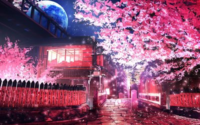 japanilainen kaupunki, street, kev&#228;t, y&#246;, sakura, kirsikkapuita