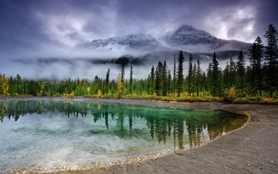 mountain lake, emerald lake, kev&#228;t, aamulla, mountain maisema, mets&#228;, vuoret, Kanada