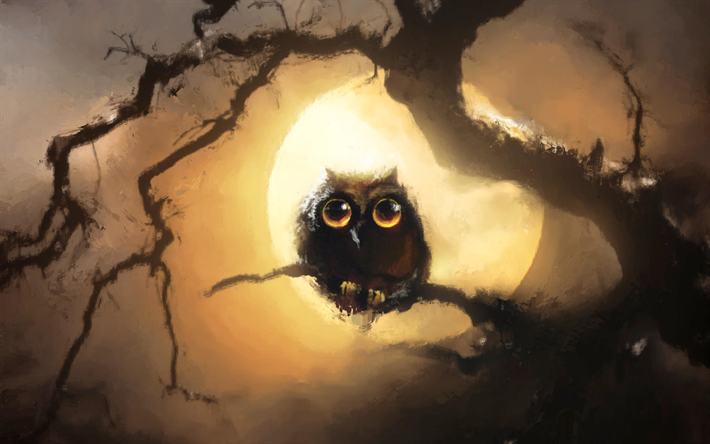Owl at night, wildlife, moon, night, predatory bird, Owl, Strigiformes